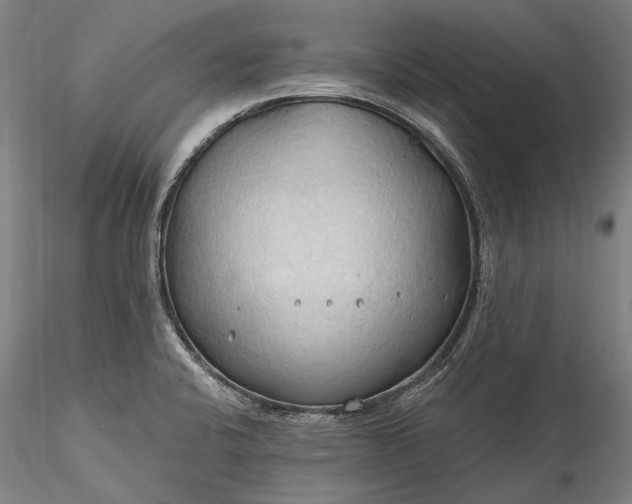 X0000115791424200911271217