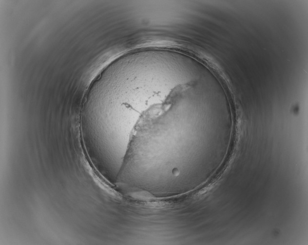 X0000115791425200911271217