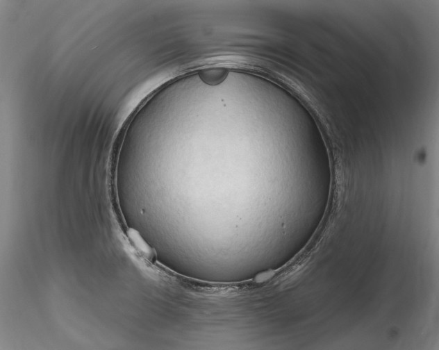 X0000115791426200911271217