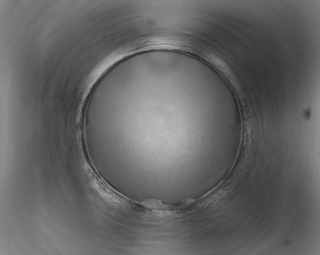 X0000115791427200911271217