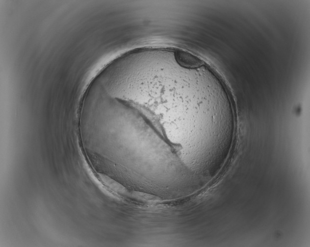 X0000115791429200911271217