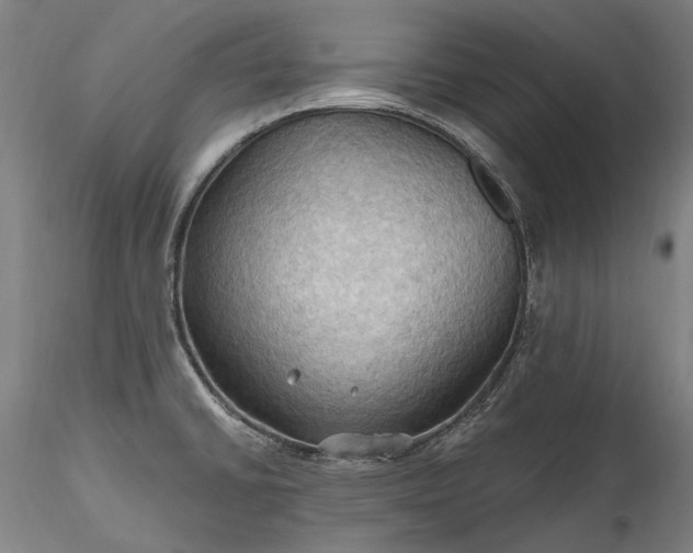 X0000115791430200911271217