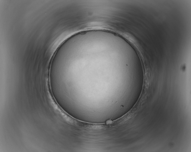 X0000115791431200911271217