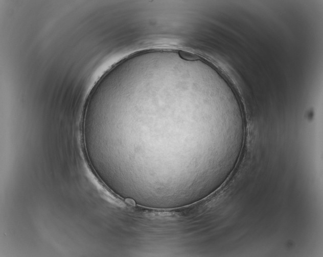 X0000115791432200911271217