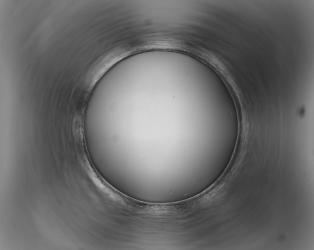 X0000115791433200911271217