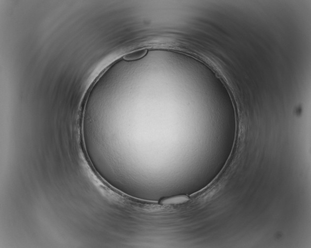 X0000115791434200911271217