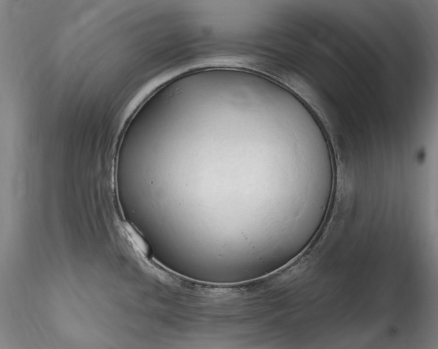 X0000115791436200911271217