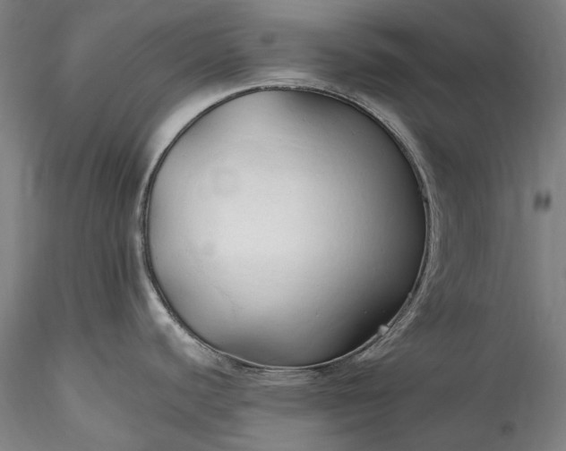 X0000115791440200911271217