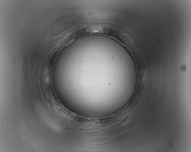 X0000115791442200911271216