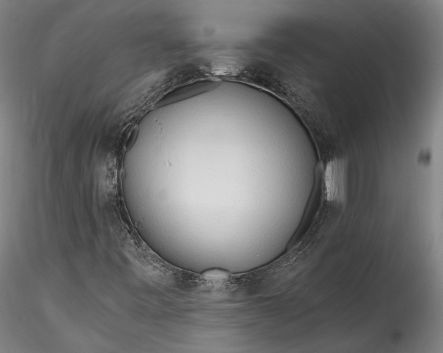 X0000115791443200911271216