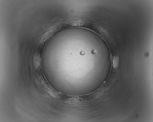 X0000115791444200911271216