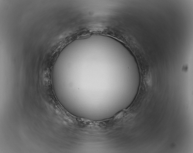 X0000115791445200911271216