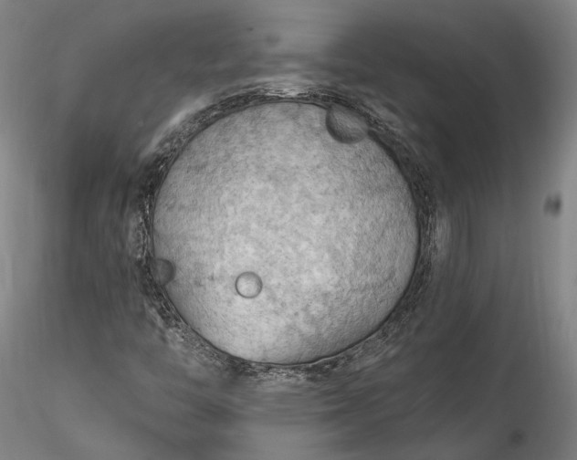 X0000115791446200911271216