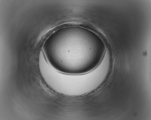 X0000115791448200911271216