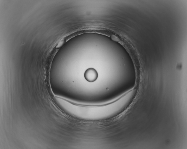 X0000115791449200911271216