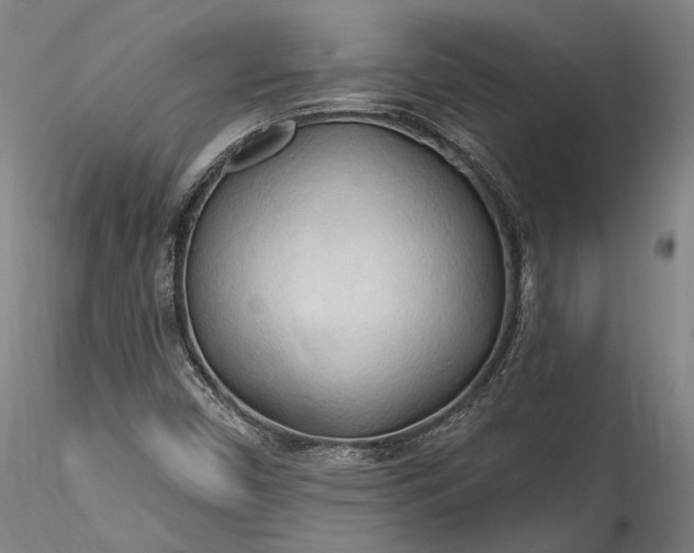 X0000115791450200911271216