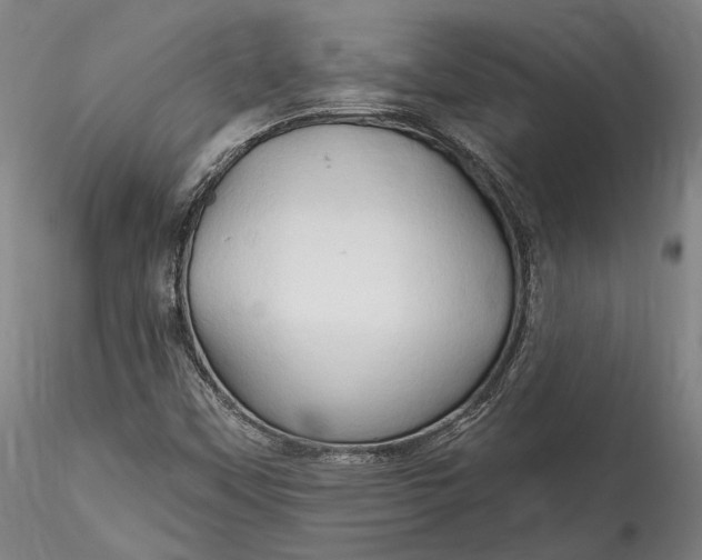 X0000115791451200911271216