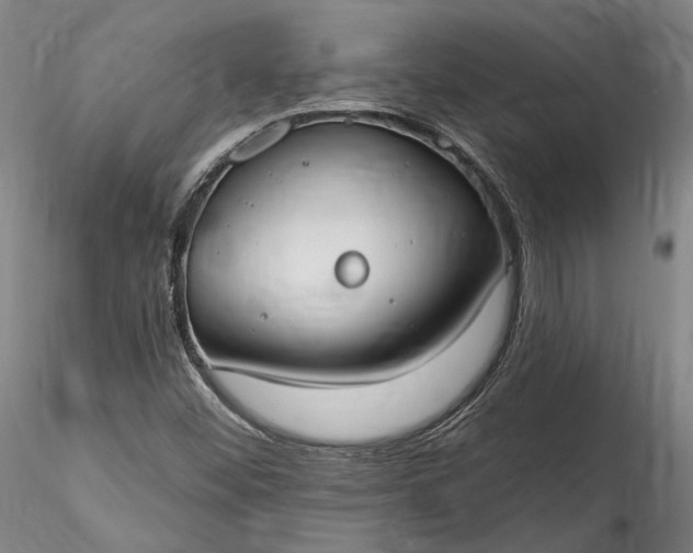 X0000115791452200911271216