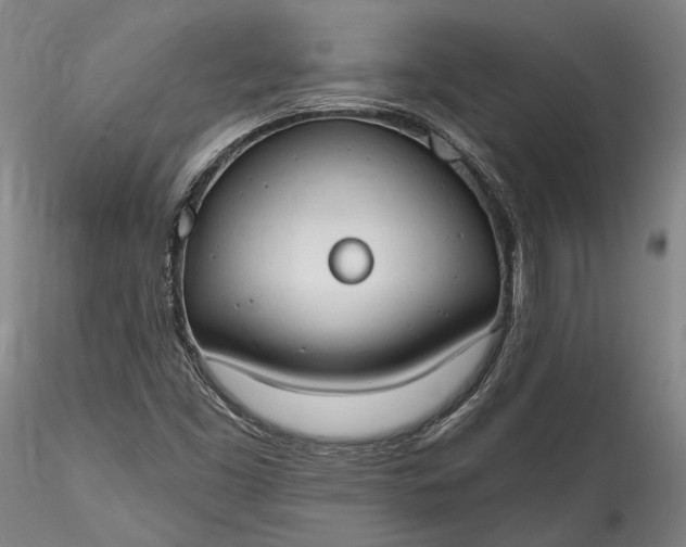 X0000115791453200911271216