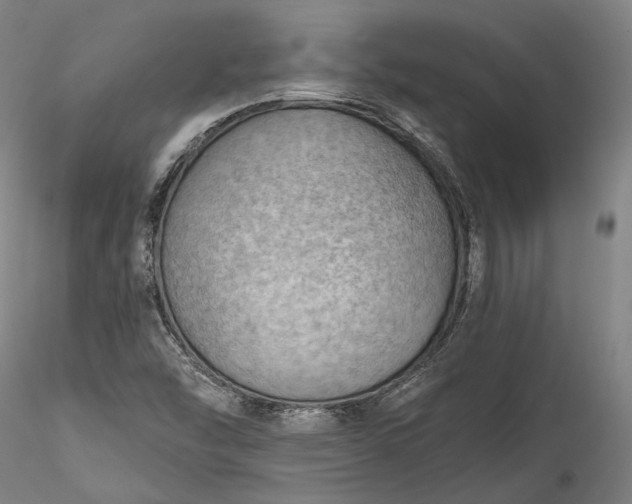 X0000115791454200911271216