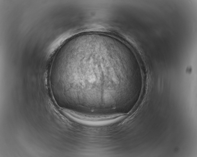 X0000115791455200911271216