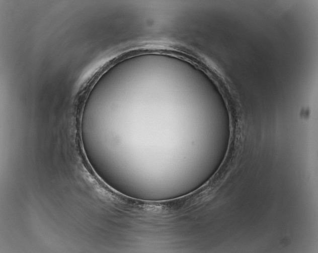 X0000115791456200911271216