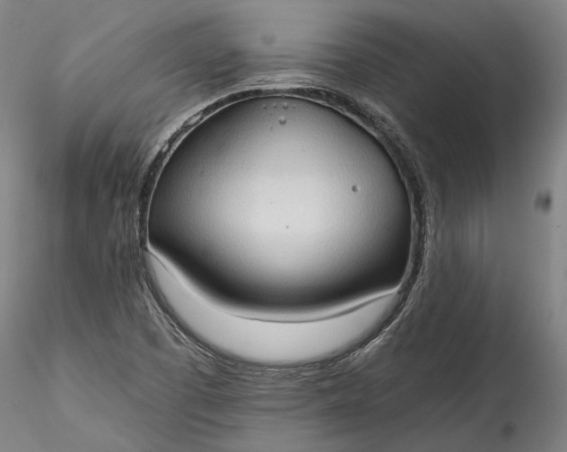 X0000115791457200911271216