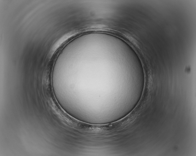 X0000115791458200911271216