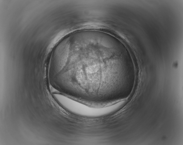 X0000115791459200911271216