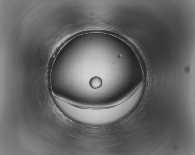 X0000115791460200911271216