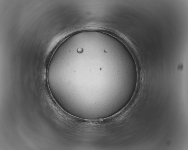 X0000115791461200911271216