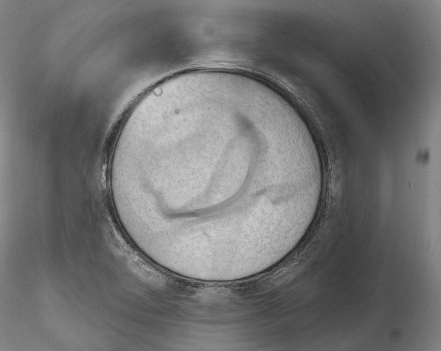 X0000115791462200911271216