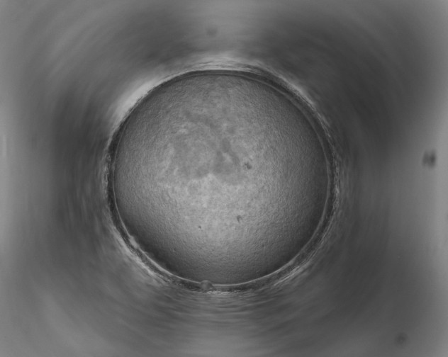 X0000115791463200911271216