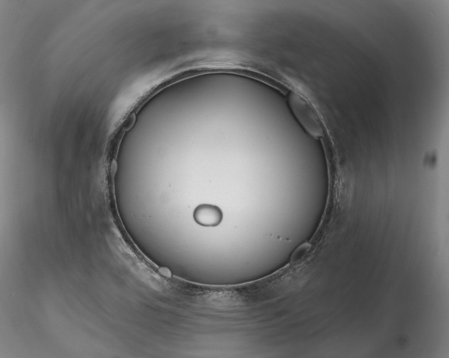 X0000115791464200911271216