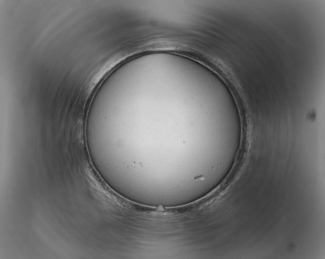 X0000115791465200911271216