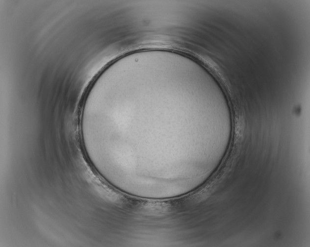 X0000115791466200911271216