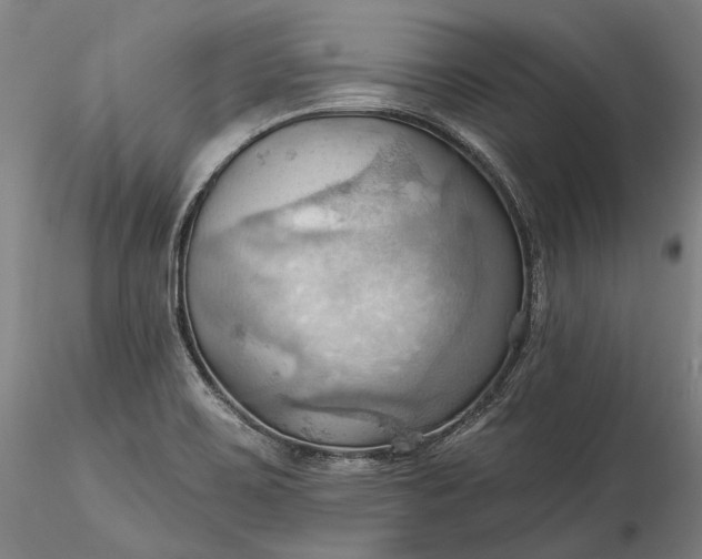 X0000115791467200911271216