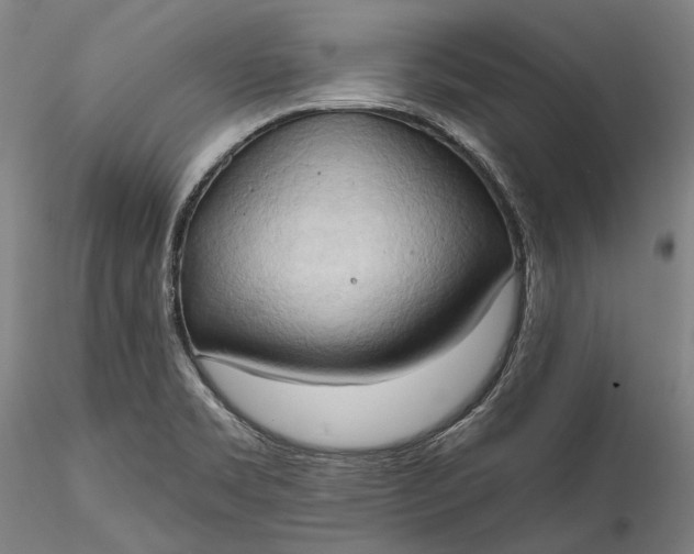 X0000115791469200911271216