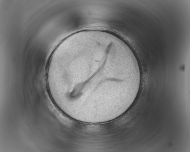 X0000115791470200911271216