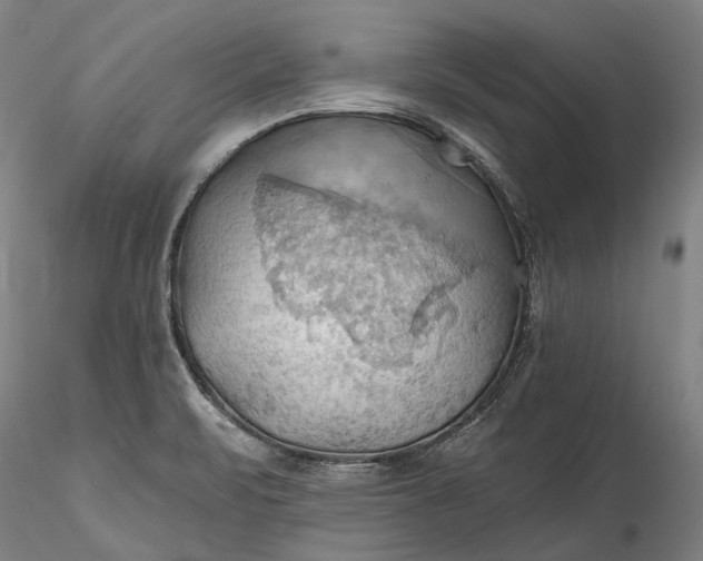 X0000115791471200911271216