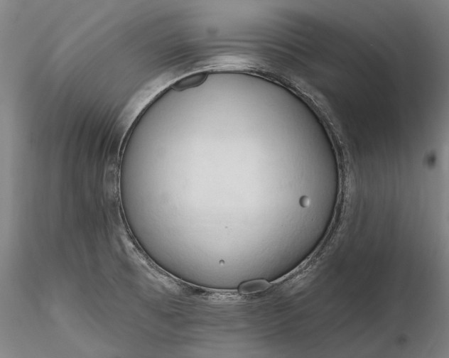 X0000115791473200911271216