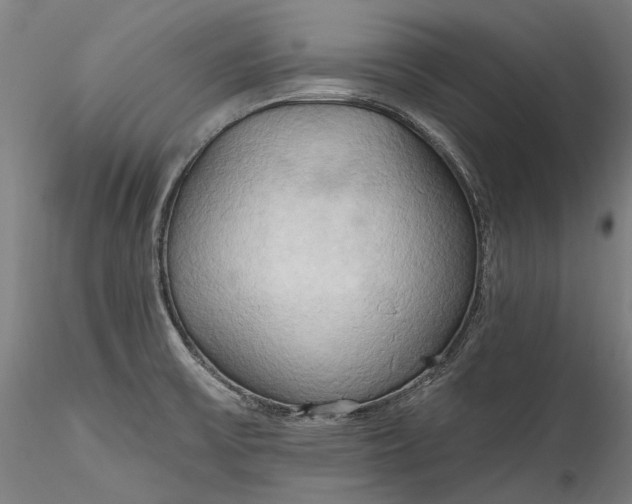 X0000115791475200911271215