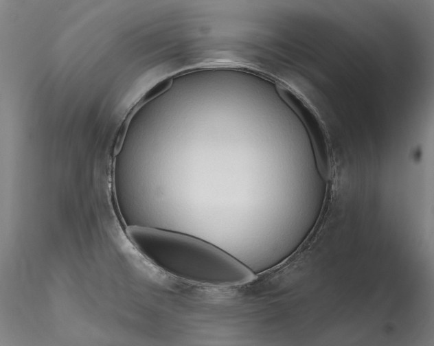 X0000115791476200911271215