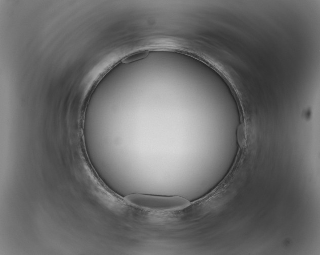 X0000115791477200911271215