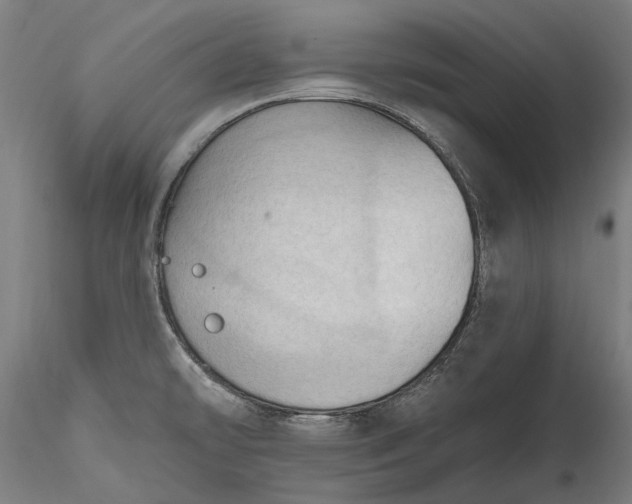 X0000115791478200911271215