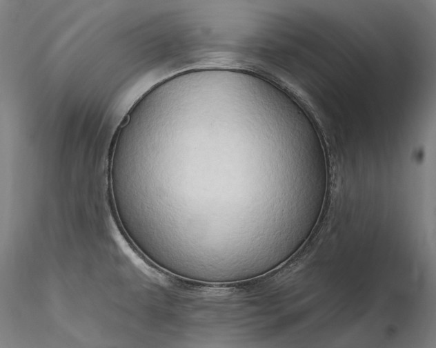 X0000115791479200911271215