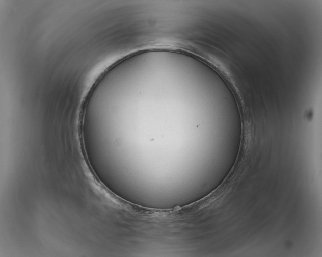 X0000115791480200911271215