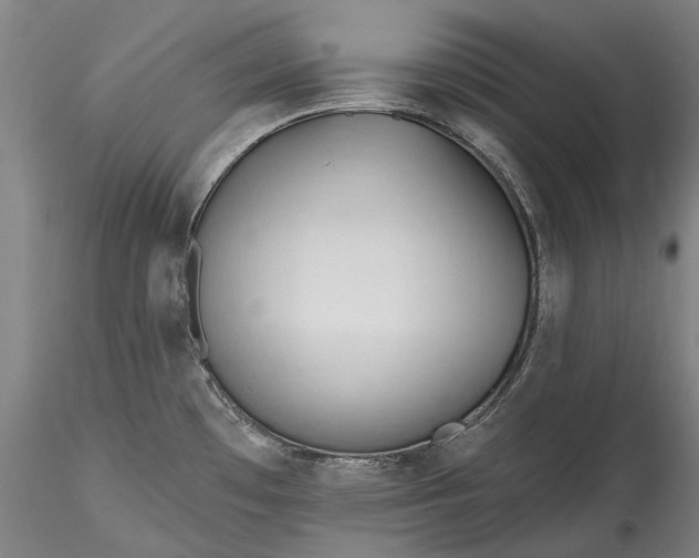 X0000115791481200911271215