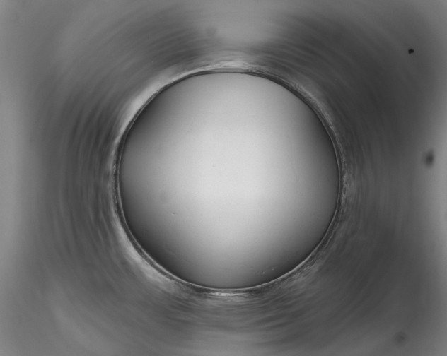 X0000115791483200911271215