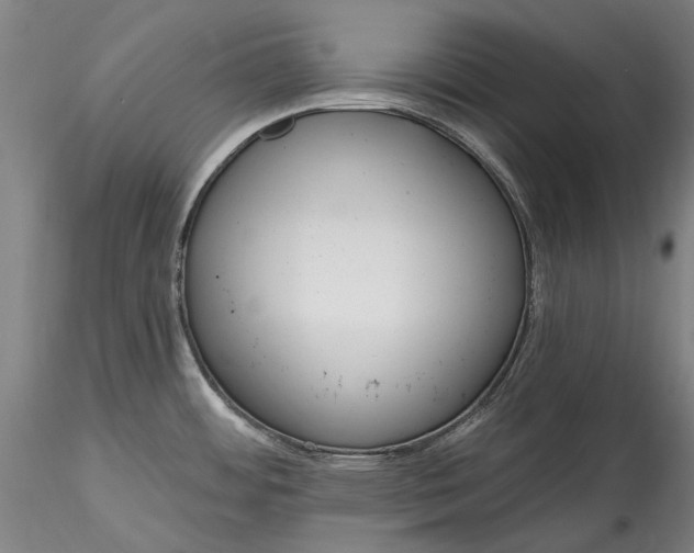 X0000115791484200911271215